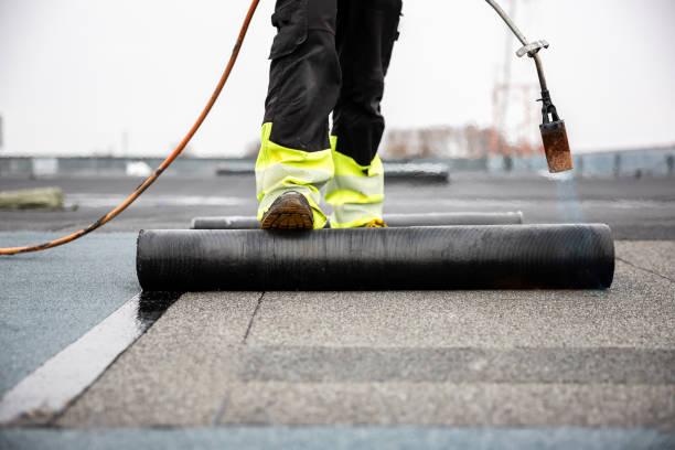 Roof Coating Services in Bardmoor, FL